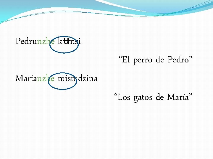 Pedrunzhe kʉnsi “El perro de Pedro” Marianzhe misindzina “Los gatos de María” 