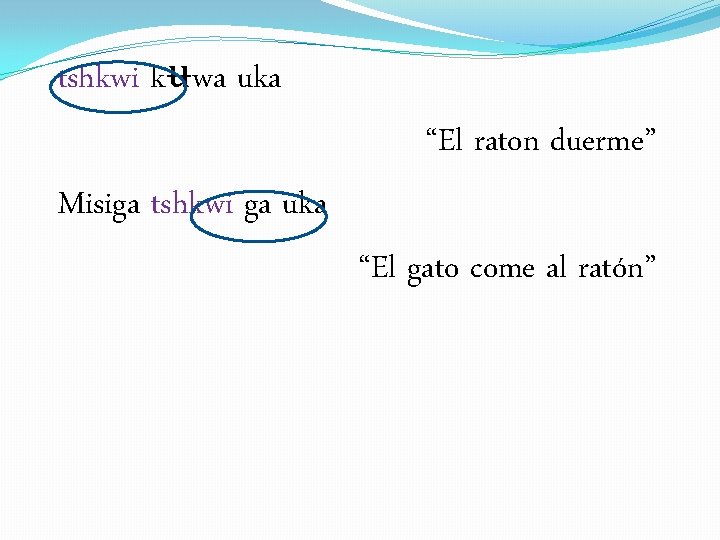tshkwi kʉwa uka “El raton duerme” Misiga tshkwi ga uka “El gato come al