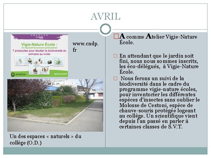 AVRIL �A comme Atelier Vigie-Nature www. cndp. fr École. � En attendant que le