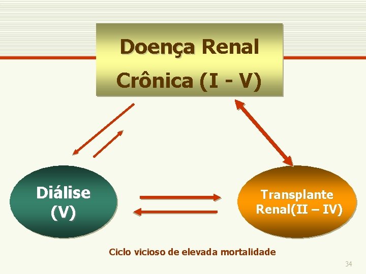 Doença Renal Crônica (I - V) Diálise (V) Transplante Renal(II – IV) Ciclo vicioso