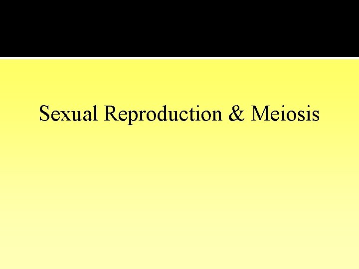 Sexual Reproduction & Meiosis 