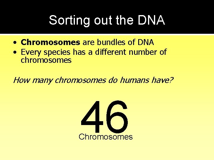 Sorting out the DNA • Chromosomes are bundles of DNA • Every species has