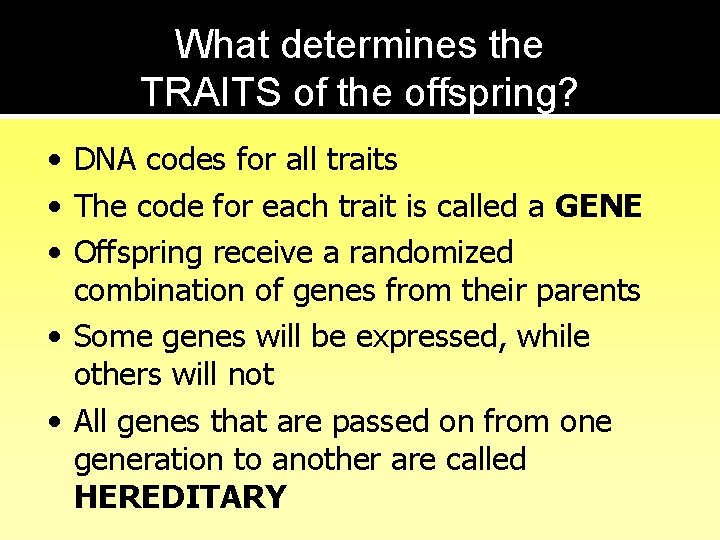 What determines the TRAITS of the offspring? • DNA codes for all traits •