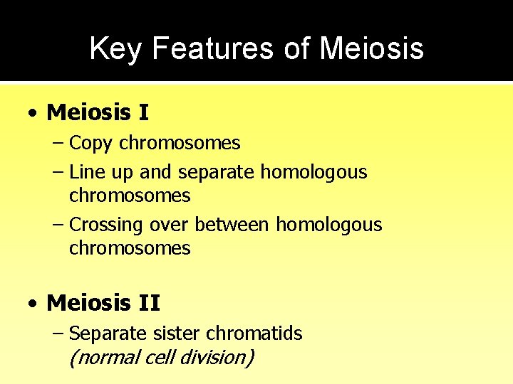 Key Features of Meiosis • Meiosis I – Copy chromosomes – Line up and