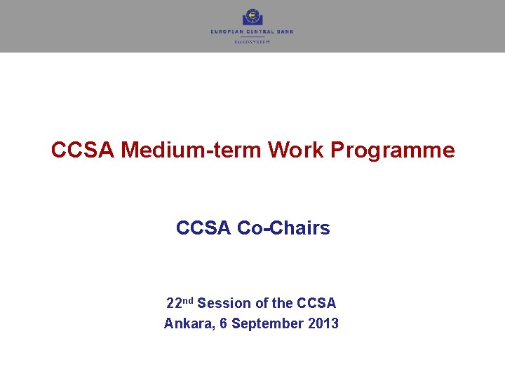 CCSA Medium-term Work Programme CCSA Co-Chairs 22 nd Session of the CCSA Ankara, 6