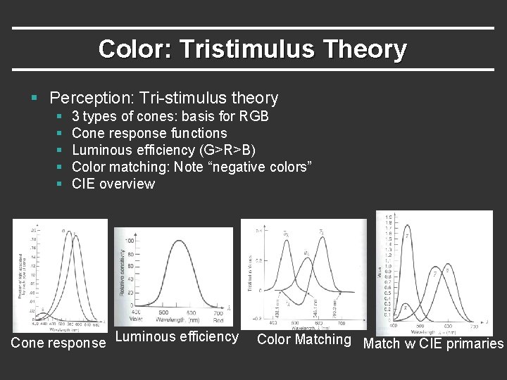 Color: Tristimulus Theory § Perception: Tri-stimulus theory § § § 3 types of cones: