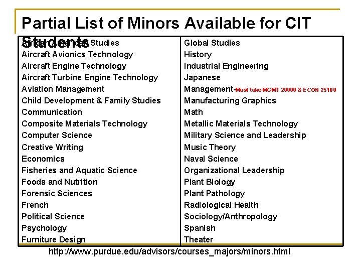 Partial List of Minors Available for CIT African American Studies Global Studies Students Aircraft