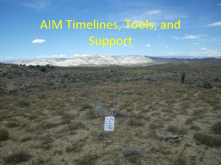 AIM Timelines, Tools, and Support 