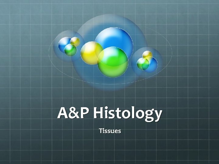 A&P Histology Tissues 