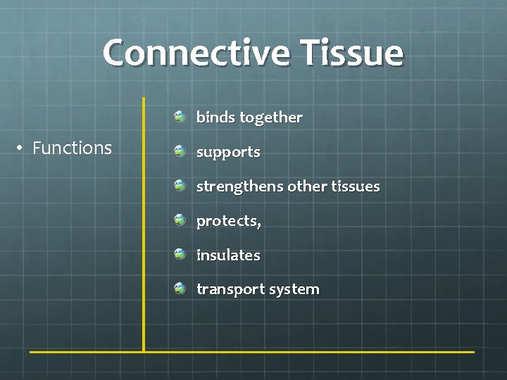 Connective Tissue binds together • Functions supports strengthens other tissues protects, insulates transport system