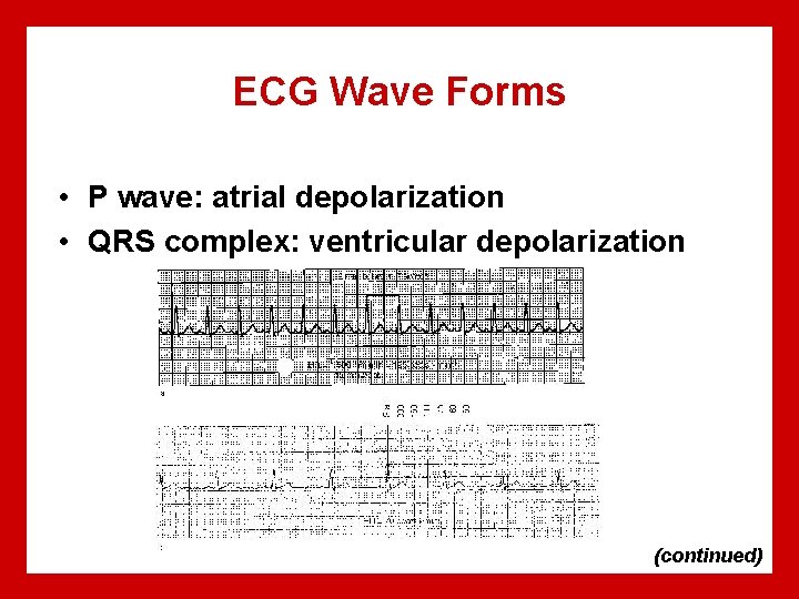 ECG Wave Forms • P wave: atrial depolarization • QRS complex: ventricular depolarization (continued)