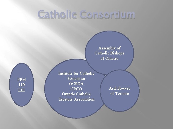 Catholic Consortium Assembly of Catholic Bishops of Ontario PPM 119 EIE Institute for Catholic