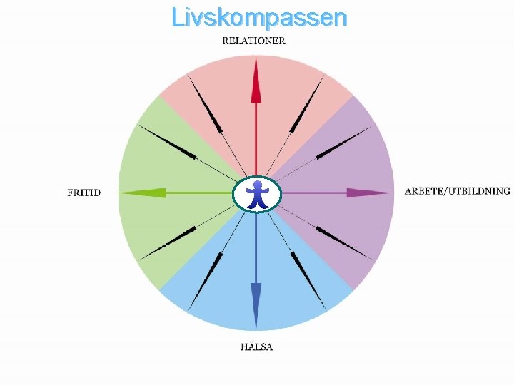 Livskompassen 11 