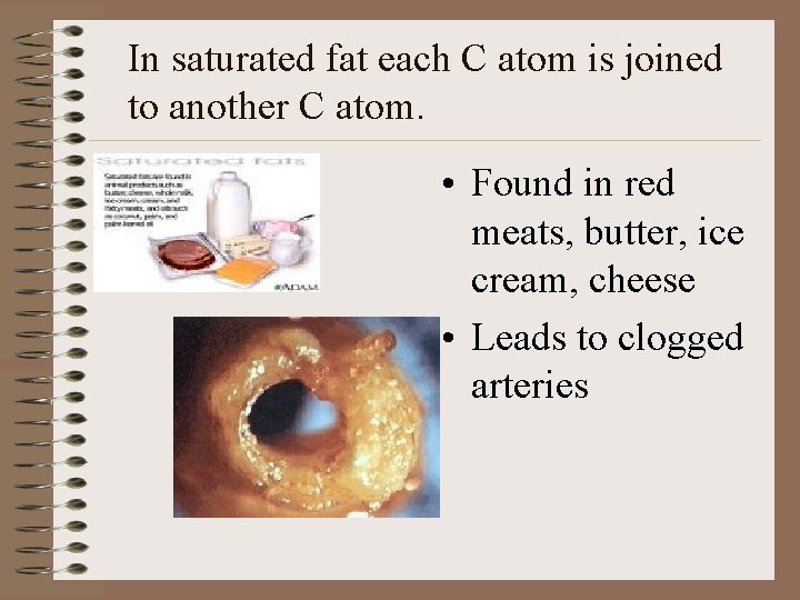 In saturated fat each C atom is joined to another C atom. • Found