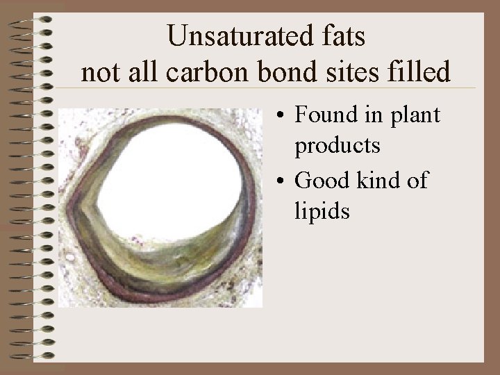 Unsaturated fats not all carbon bond sites filled • Found in plant products •