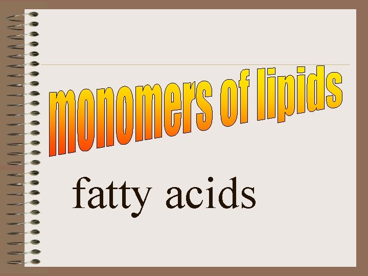 fatty acids 