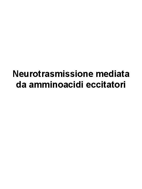 Neurotrasmissione mediata da amminoacidi eccitatori 