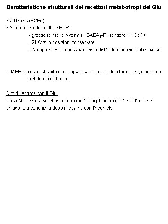Caratteristiche strutturali dei recettori metabotropi del Glu • 7 TM (~ GPCRs) • A