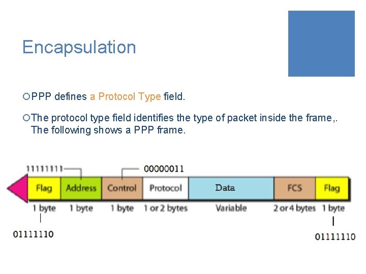 Encapsulation ¡PPP defines a Protocol Type field. ¡The protocol type field identifies the type