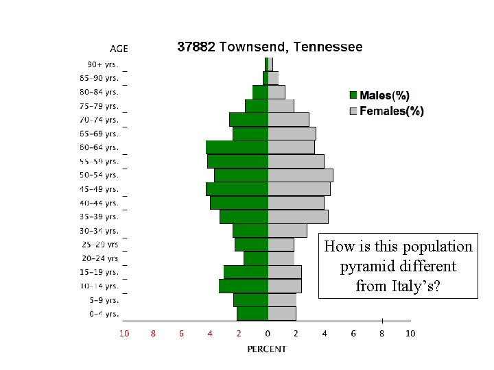 How is this population pyramid different from Italy’s? 