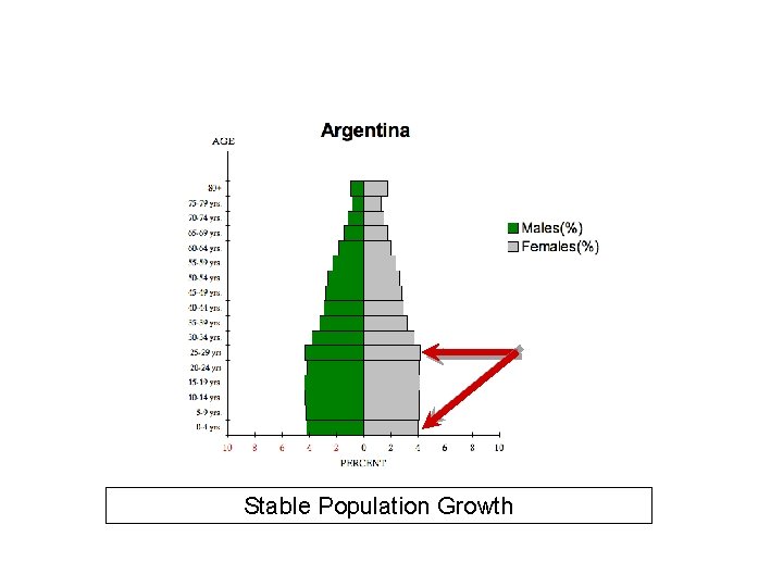 Stable Population Growth 