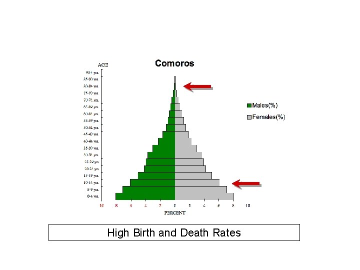 High Birth and Death Rates 