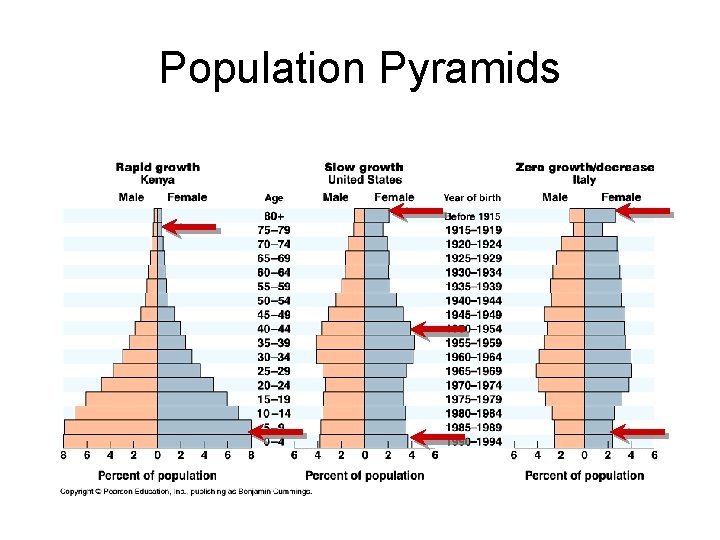 Population Pyramids 