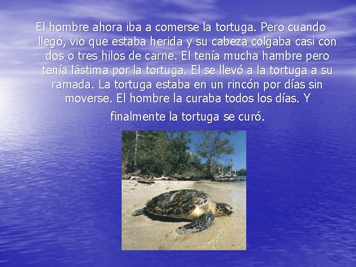 El hombre ahora iba a comerse la tortuga. Pero cuando llegó, vio que estaba