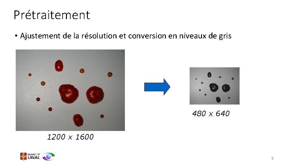 Prétraitement • Ajustement de la résolution et conversion en niveaux de gris 480 x