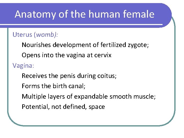 Anatomy of the human female Uterus (womb): Nourishes development of fertilized zygote; Opens into