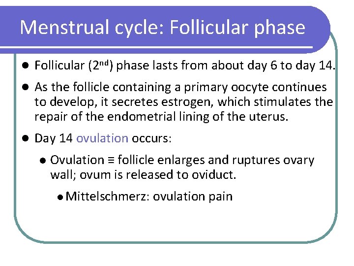 Menstrual cycle: Follicular phase l Follicular (2 nd) phase lasts from about day 6