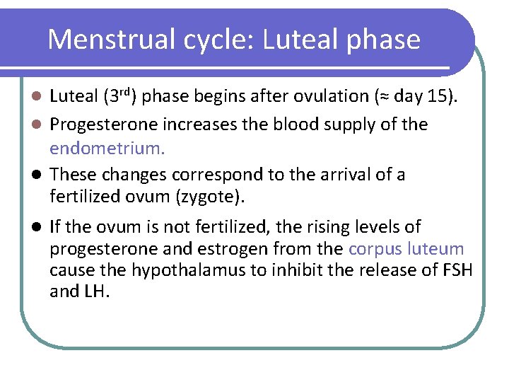 Menstrual cycle: Luteal phase Luteal (3 rd) phase begins after ovulation (≈ day 15).