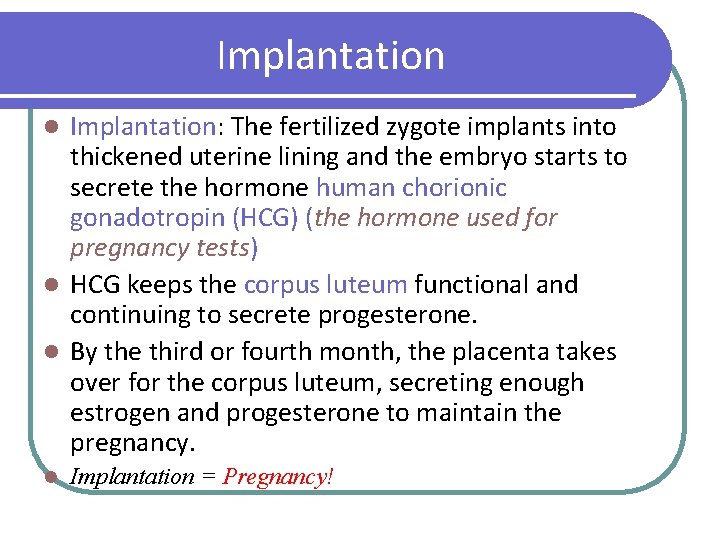 Implantation: The fertilized zygote implants into thickened uterine lining and the embryo starts to