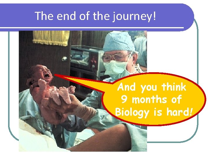 The end of the journey! And you think 9 months of Biology is hard!