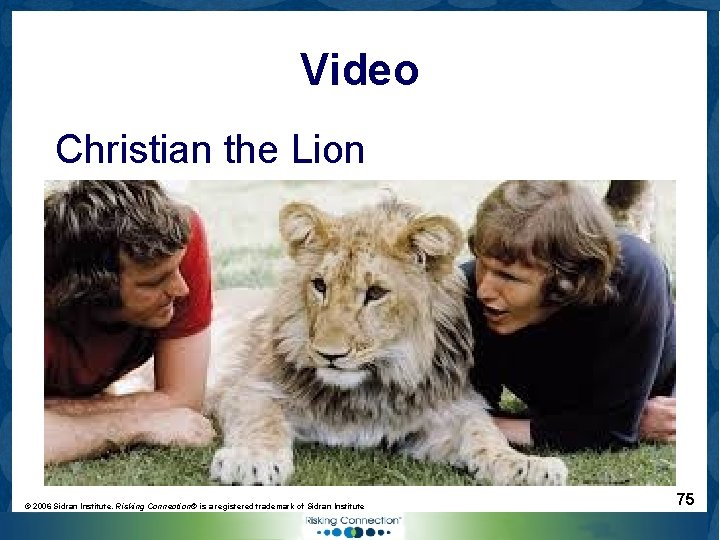 Video Christian the Lion © 2006 Sidran Institute. Risking Connection® is a registered trademark