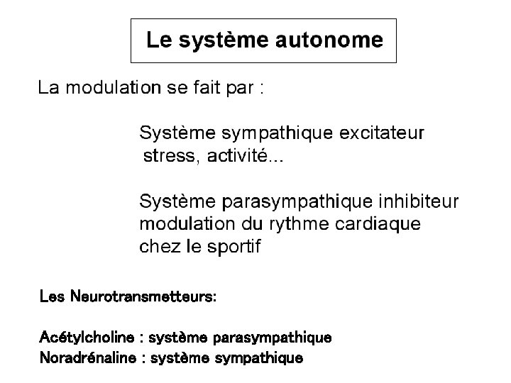 Les Neurotransmetteurs: Acétylcholine : système parasympathique Noradrénaline : système sympathique 