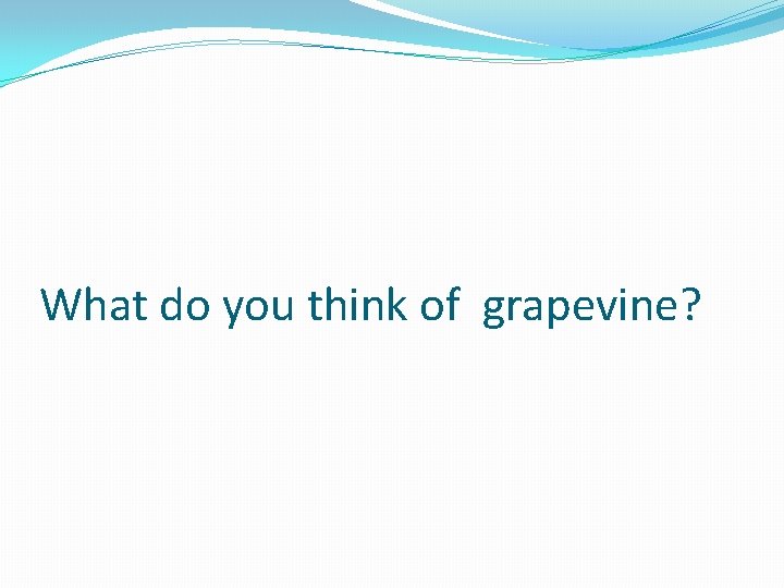 What do you think of grapevine? 
