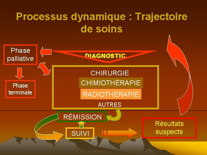 Processus dynamique : Trajectoire de soins Phase palliative Phase terminale DIAGNOSTIC CHIRURGIE CHIMIOTHÉRAPIE RADIOTHÉRAPIE