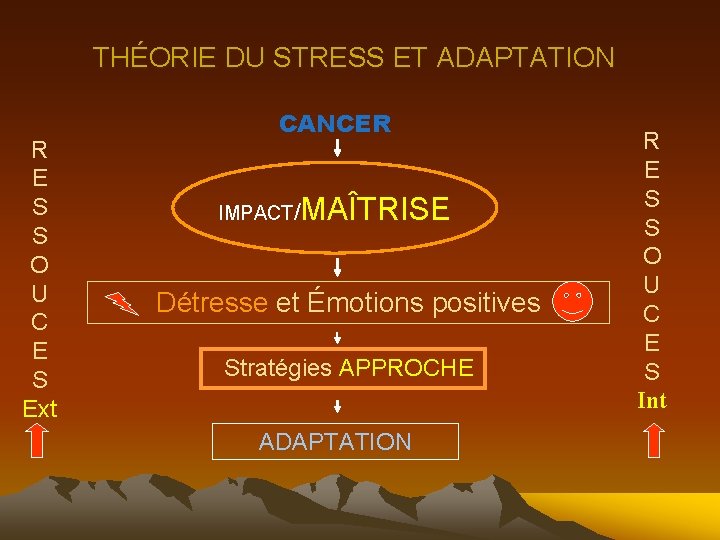 THÉORIE DU STRESS ET ADAPTATION R E S S O U C E S