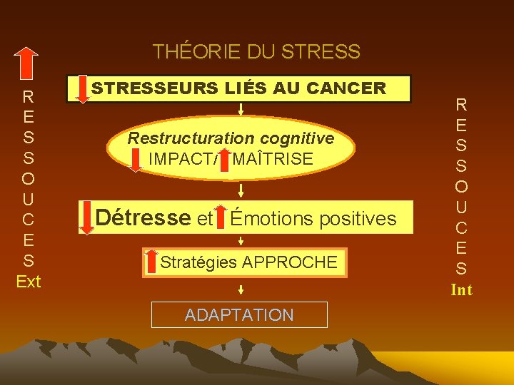 THÉORIE DU STRESS R E S S O U C E S Ext STRESSEURS