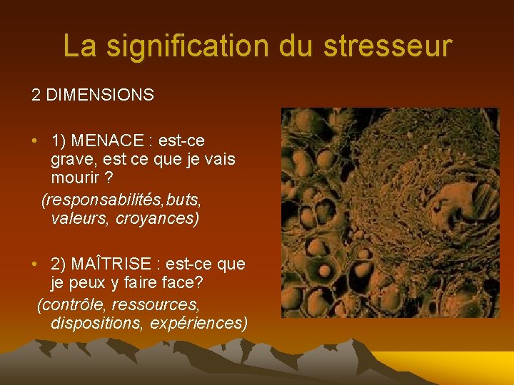 La signification du stresseur 2 DIMENSIONS • 1) MENACE : est-ce grave, est ce