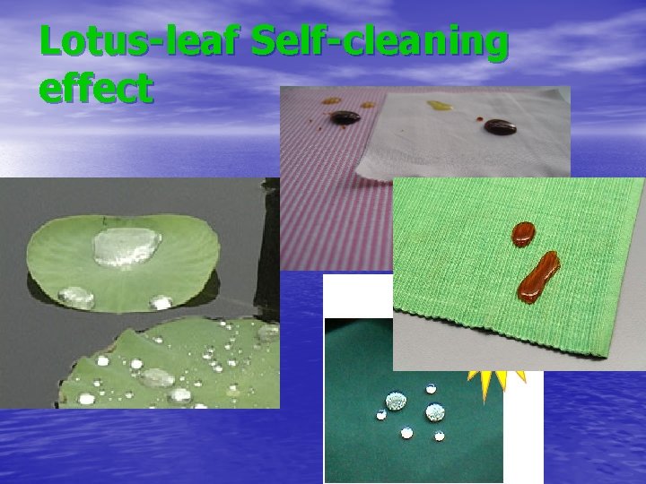 Lotus-leaf Self-cleaning effect 