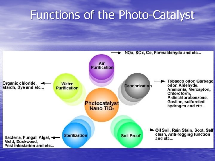 Functions of the Photo-Catalyst 