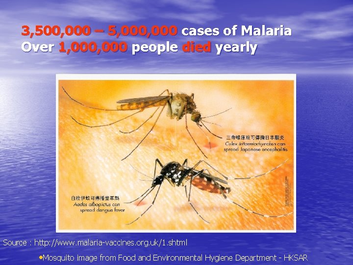 3, 500, 000 – 5, 000 cases of Malaria Over 1, 000 people died