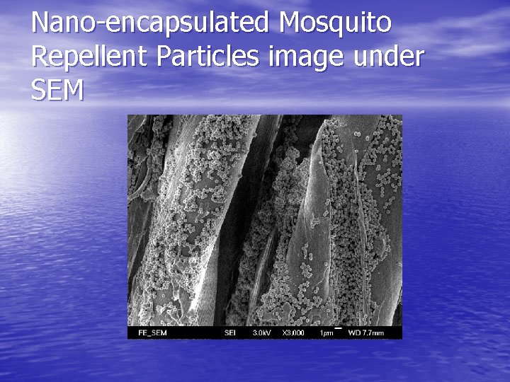 Nano-encapsulated Mosquito Repellent Particles image under SEM 