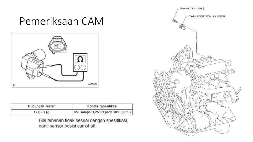 Pemeriksaan CAM 