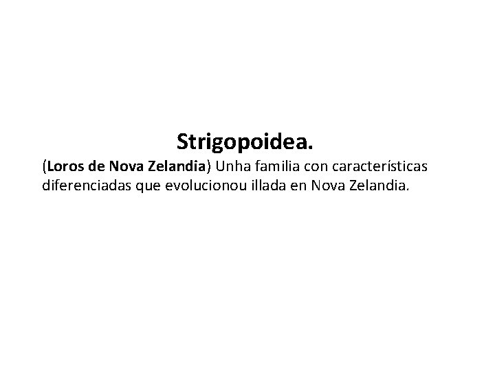 Strigopoidea. (Loros de Nova Zelandia) Unha familia con características diferenciadas que evolucionou illada en