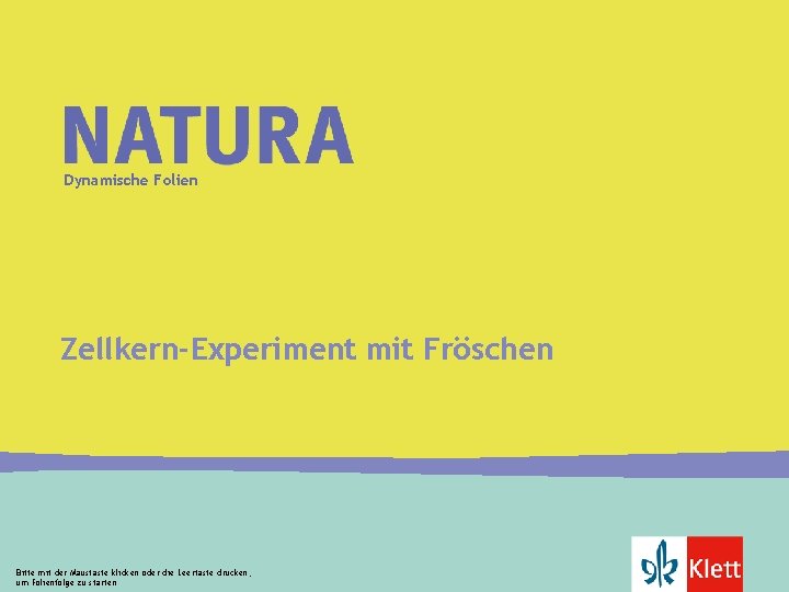 Dynamische Folien Zellkern-Experiment mit Fröschen Ein Airbag muss sich innerhalb von 100 Millisekunden füllen.