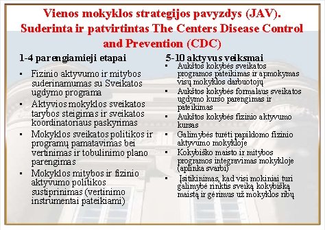 Vienos mokyklos strategijos pavyzdys (JAV). Suderinta ir patvirtintas The Centers Disease Control and Prevention