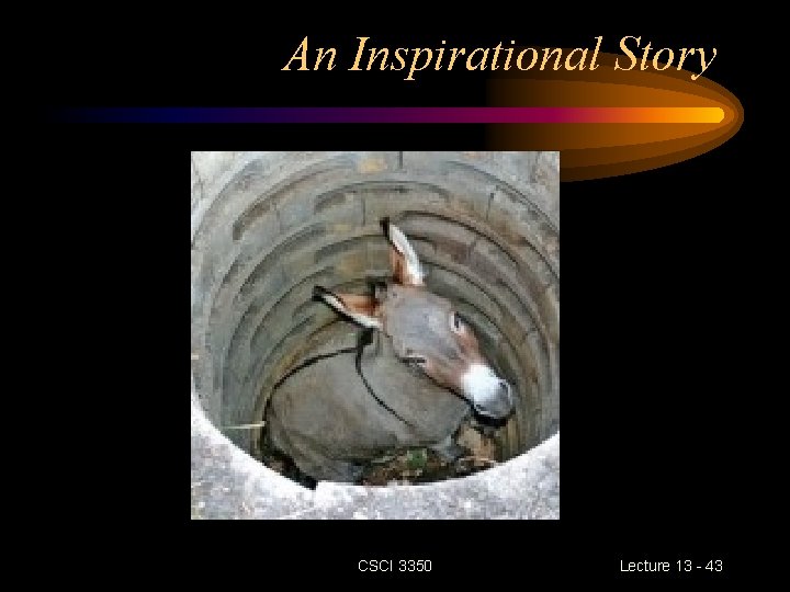 An Inspirational Story CSCI 3350 Lecture 13 - 43 